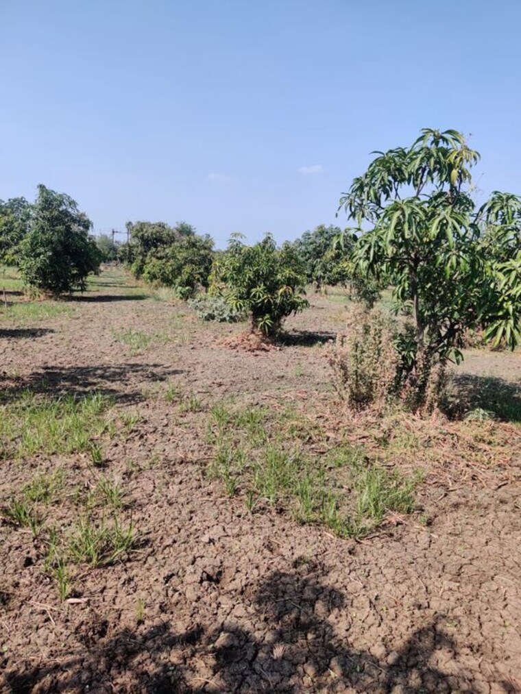 undefined, shahpore Commercial Land 156 Acre In Shahpore Surat 9853258