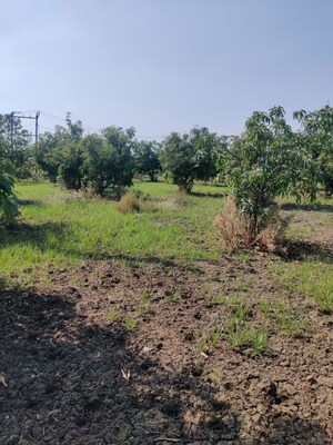  Land For Sale in Shahpore