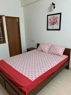 1 BHK Apartment For Rent in Collectors Colony