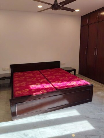 1 BHK Apartment For Rent in Hauz Khas
