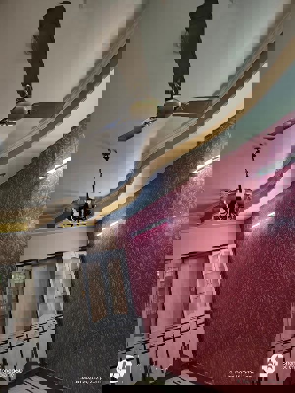 2 BHK + Pooja Room Builder Floor For Rent in Tulip Mall