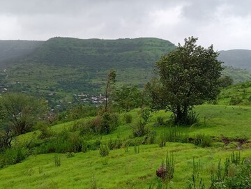 Plot Area in  Plot at Hinjewadi – for Sale