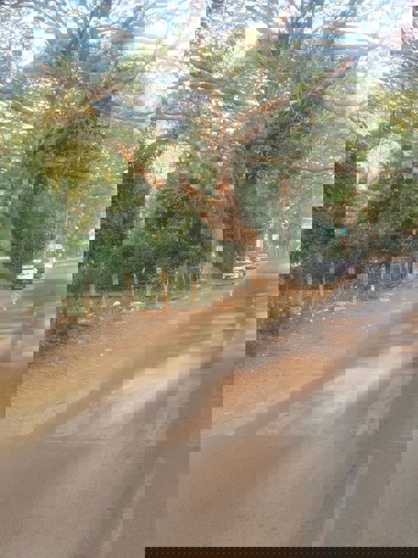 Industrial Plot For Sale in Sector 2