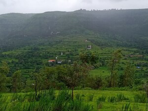 Plot Area in  Plot at Hinjewadi – for Sale