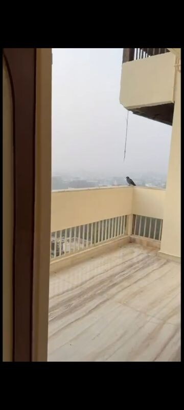 Room in 3 BHK Builder Floor at East Of Kailash – for Rent