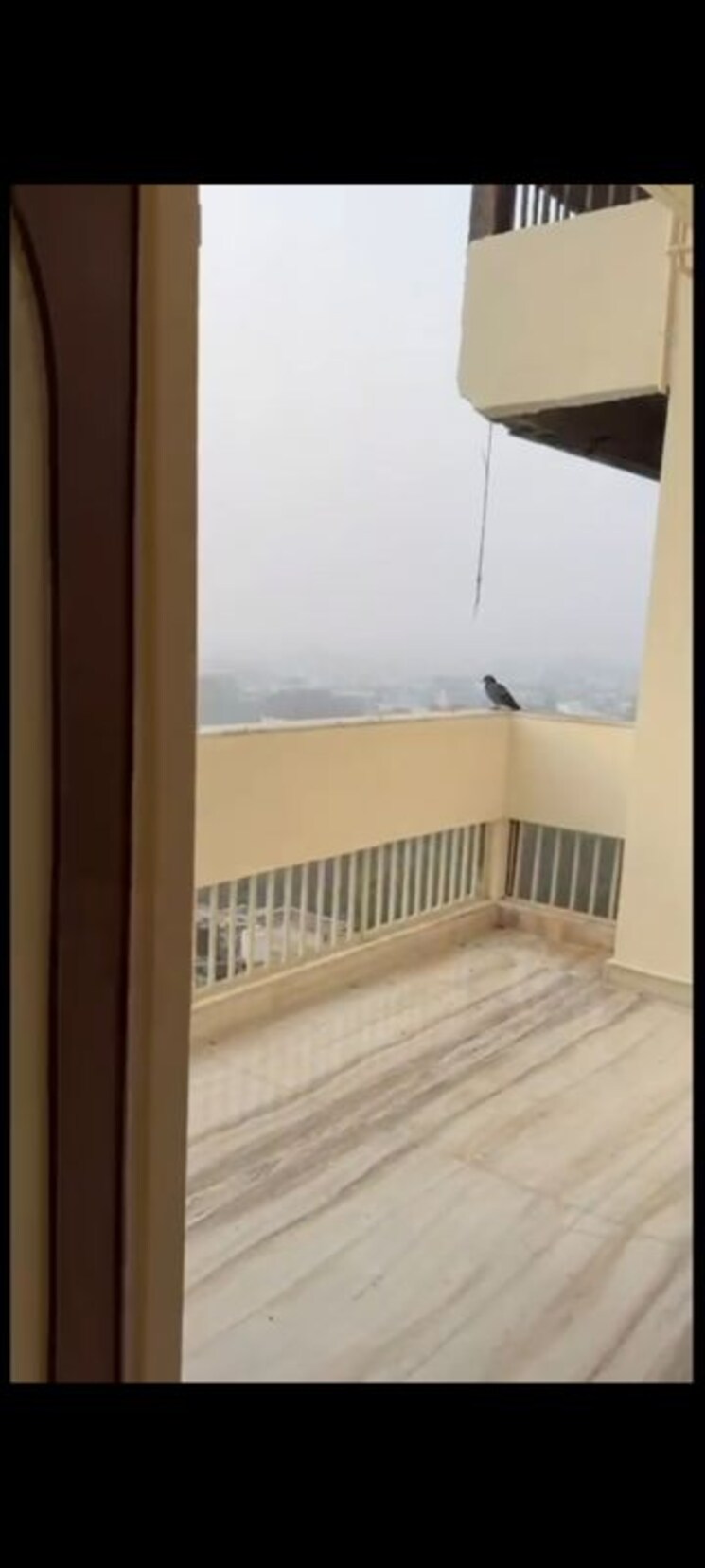 Room, east of kailash 3 Bedroom 1500 Sq.Ft. Builder Floor In East Of Kailash Delhi 9853466