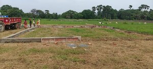 Plot Area in  Plot at Bihta – for Sale