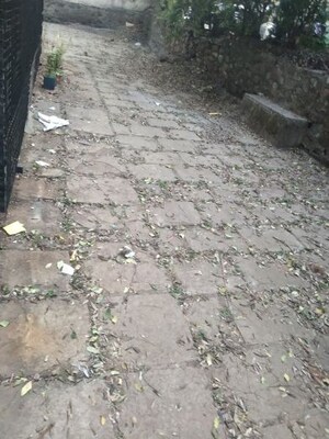 Plot Area in 1 BHK Apartment at Gokhalenagar – for Rent