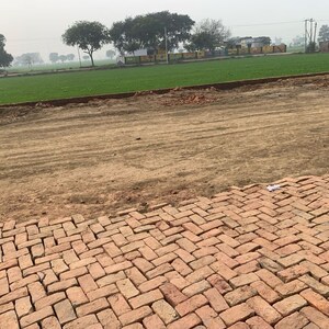 Plot Area in  Plot at Jattari – for Sale
