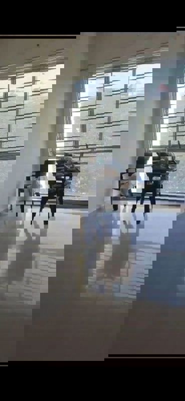 2 BHK Apartment For Rent in Sheth Vasant Lawns