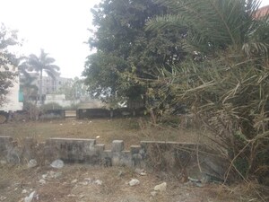 Plot Area in  Plot at Bagmugaliya – for Sale