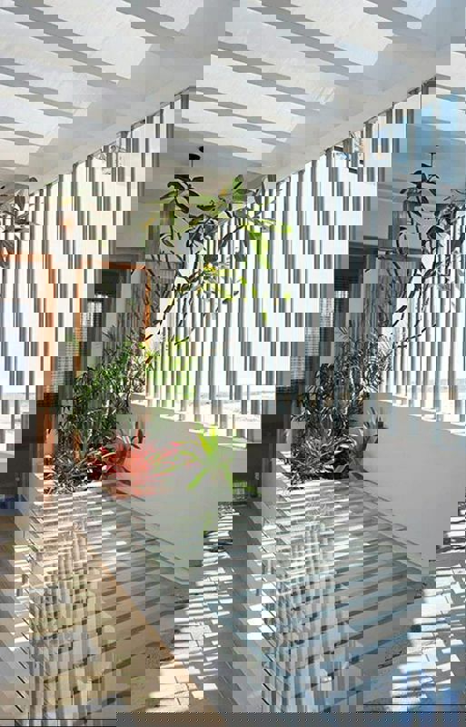 Pg For Rent in Vineet Khand