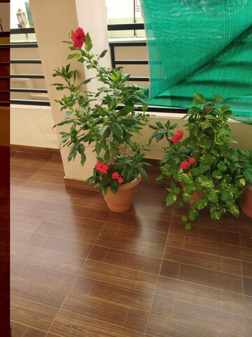  Pg For Rent in Vineet Khand