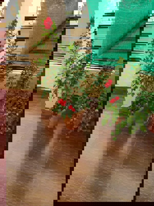 Pg For Rent in Vineet Khand