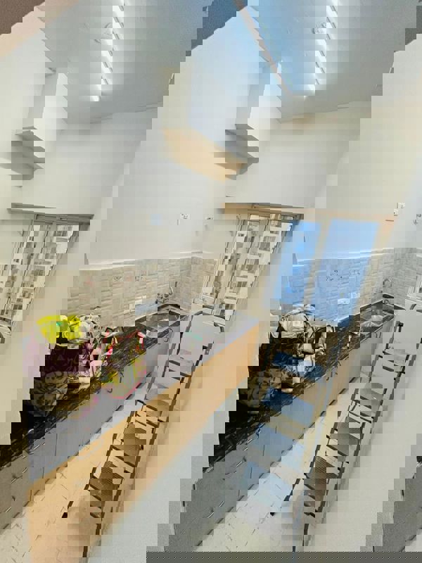 1 BHK + Extra Room Apartment For Rent in Amrapali Dream Valley