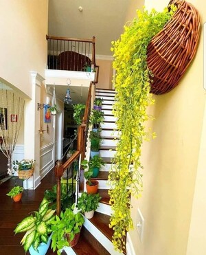  Pg For Rent in Vineet Khand