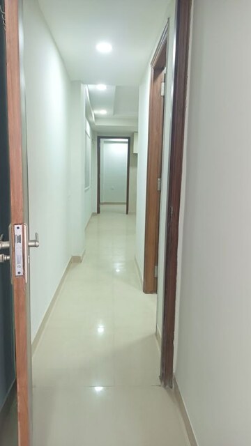 3.5 BHK Builder Floor For Rent in Palm Residency Chhatarpur, Chattarpur