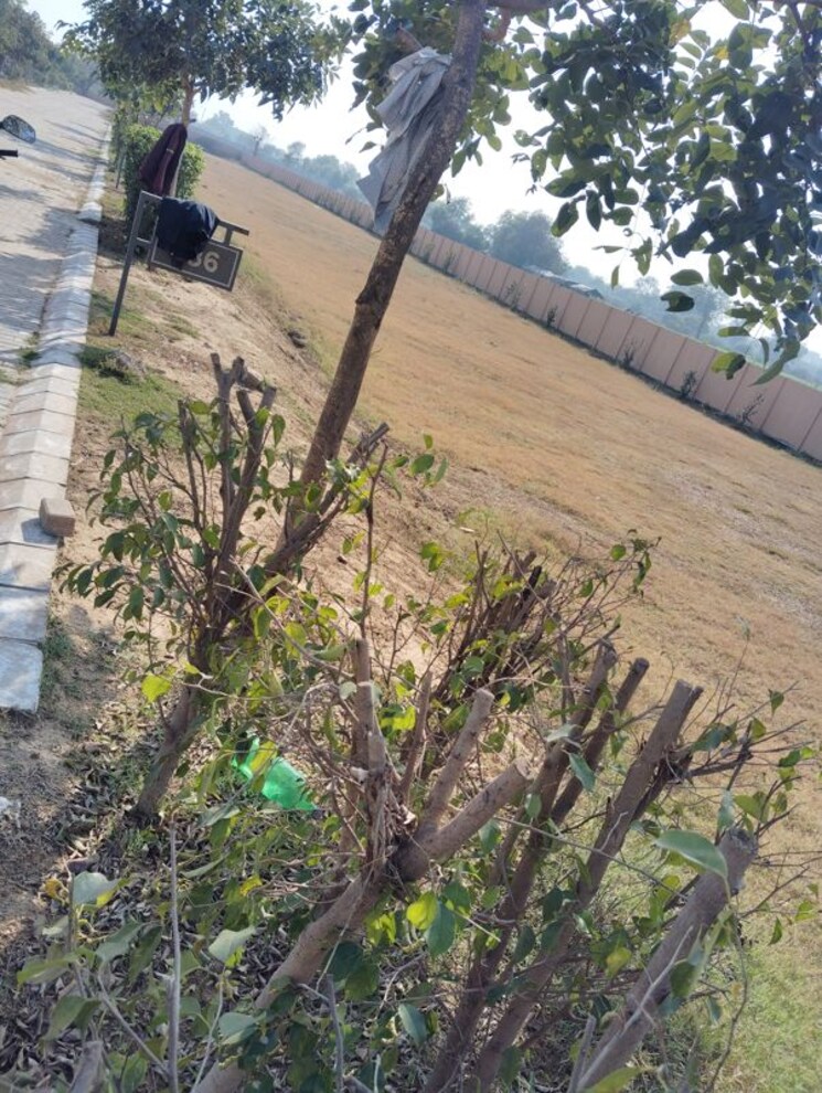 Exterior View, adore-smart-city  1152 Sq.Ft. Plot In Sector 97 Faridabad 9853996