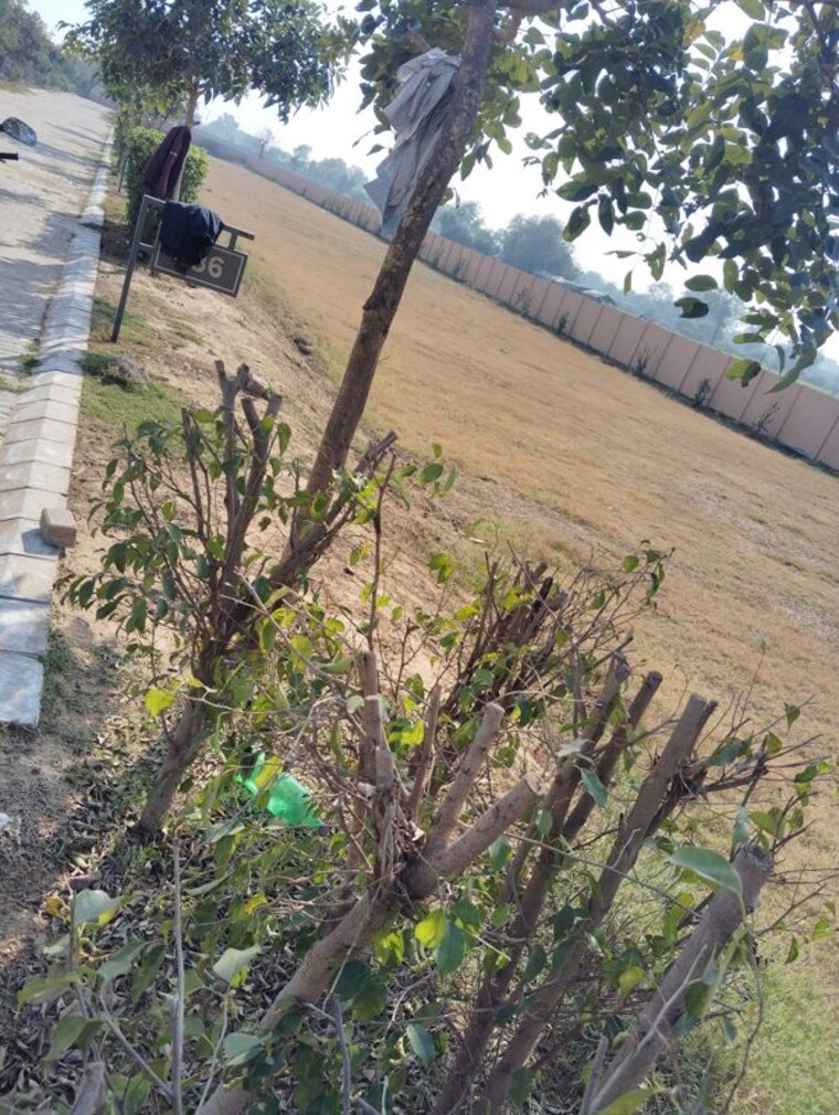 Exterior View, adore-smart-city  1152 Sq.Ft. Plot In Sector 97 Faridabad 9854001