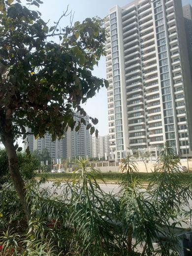 3.5 BHK + Servant Room Apartment For Sale in Sobha City Gurgaon