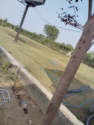 Plot Area in  Plot at Adore Smart City, Sector 97 – for Sale