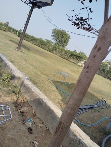 Plot Area in  Plot at Adore Smart City, Sector 97 – for Sale