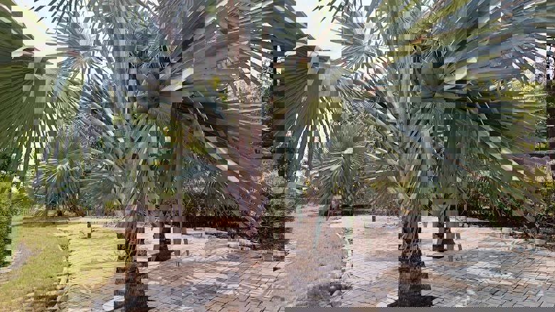 Plot For Sale in Gauribidanur