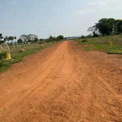 Plot For Sale in Kunchanapalli