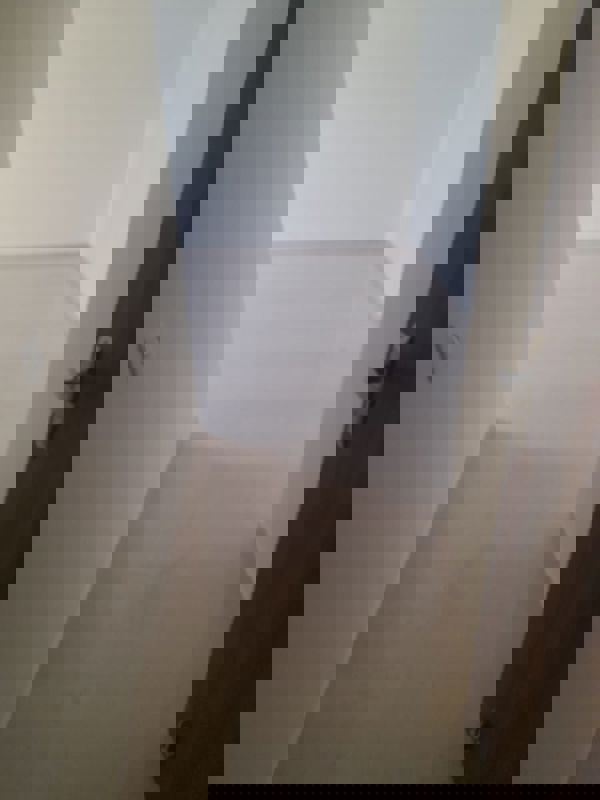 3 BHK Apartment For Rent in Pioneer Park Phase 1