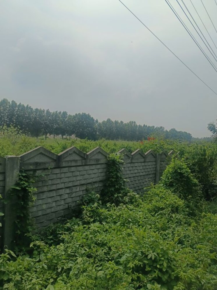 Garden, tukkuguda  165 Sq.Yd. Plot In Tukkuguda Hyderabad 9854191