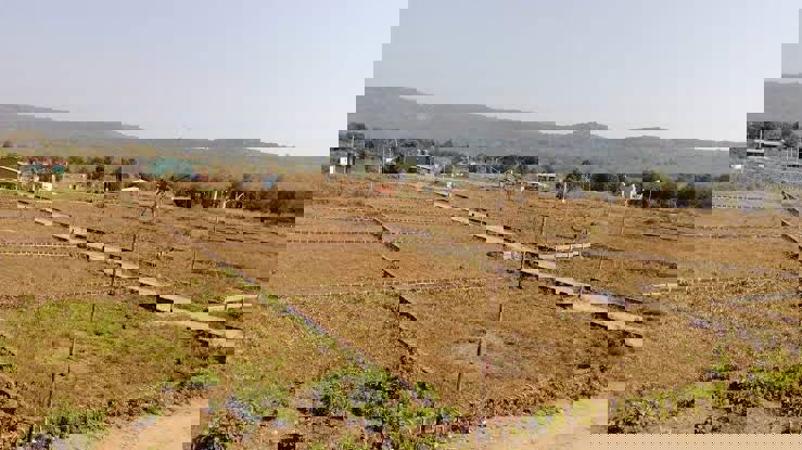 Plot For Sale in Sector 20 Yamuna Expressway