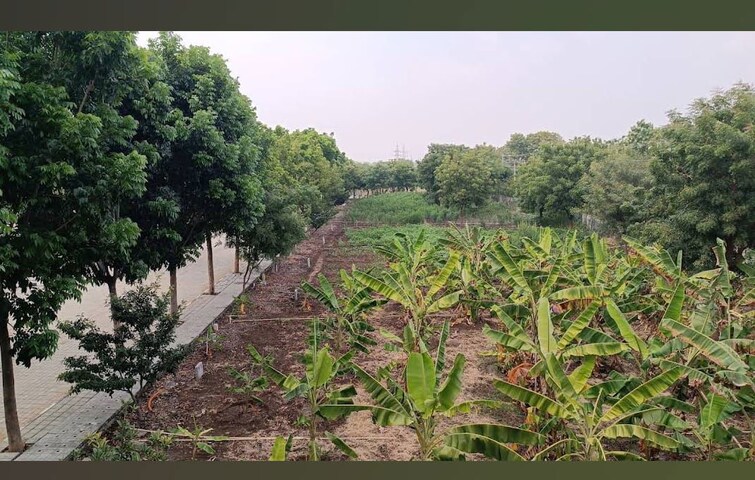 undefined, gauribidanur  1200 Sq.Ft. Plot In Gauribidanur Bangalore 9854237