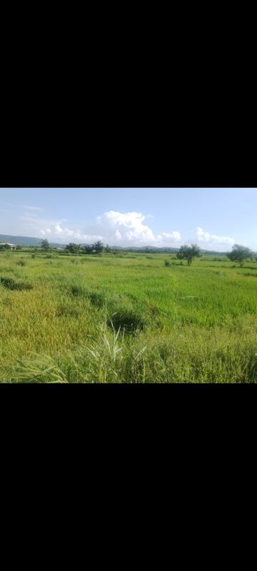 Plot Area in  Land at Dronagiri – for Sale