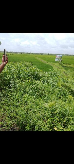  Land – Garden View at Dronagiri - for Sale