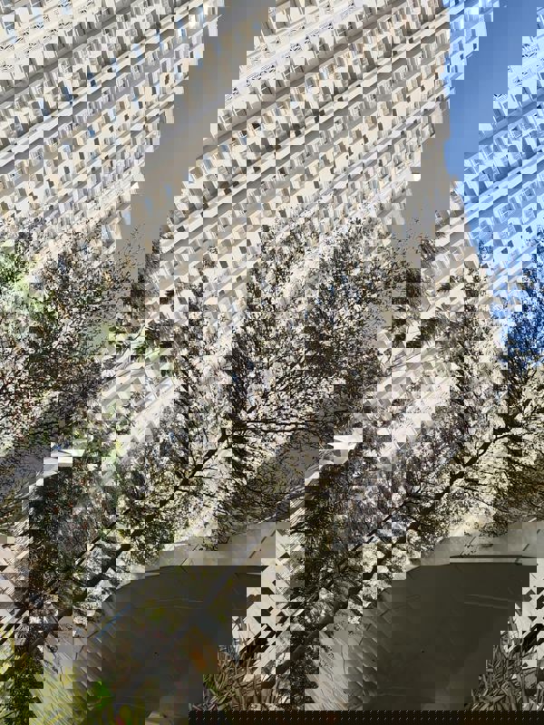 2 BHK 944 Sq.Ft. Apartment in Eden Park At The Prestige City