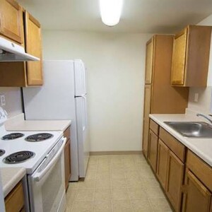 Kitchen in 2 BHK Apartment at Andheri West – for Rent