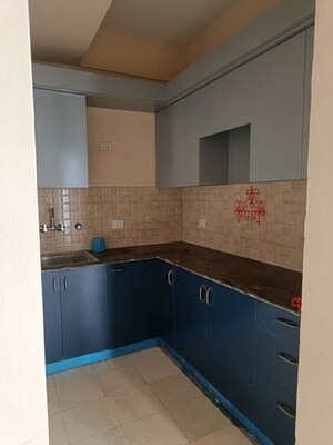 Kitchen in 3 BHK Apartment at Amrapali Dream Valley, Tech Zone 4 Greater Noida – for Rent