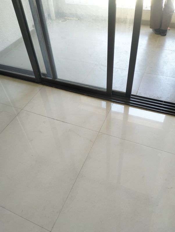 2 BHK Apartment For Rent in Opel Flora