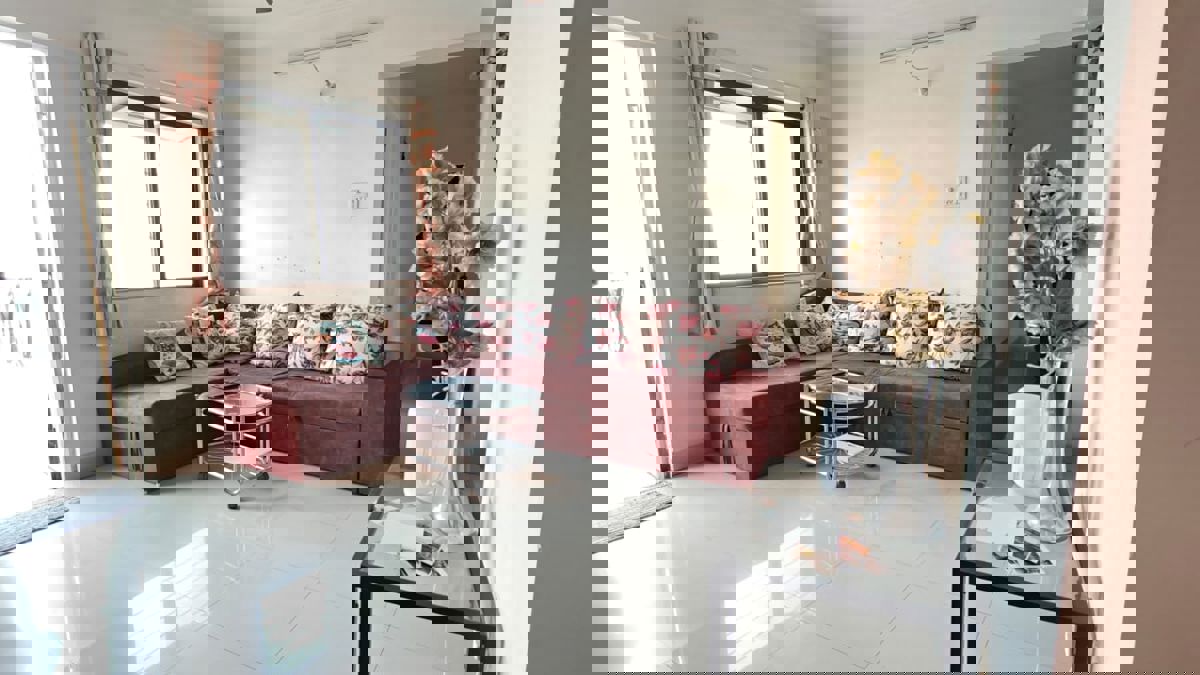 2 BHK 1049 Sq.Ft. Apartment in Goel Ganga Orchard