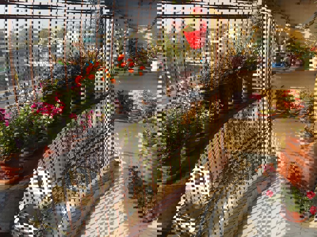 3 BHK + Pooja Room Apartment For Sale in Adityapur