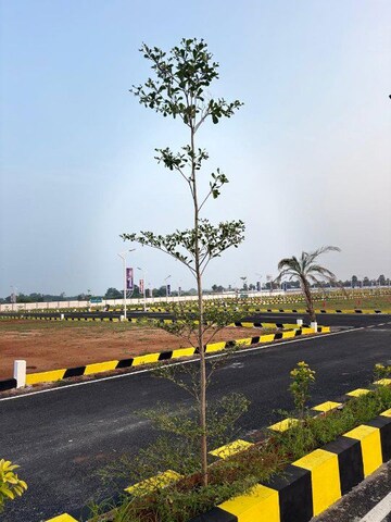  Plot For Sale in Ashok Nagar