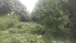 Land For Sale in Crest Oaks