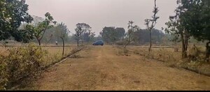 Plot Area in  Plot at Bhogapuram – for Sale