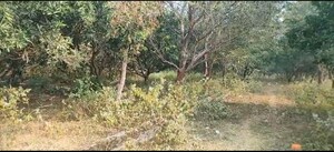 Plot Area in  Plot at Bhogapuram – for Sale