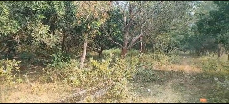 undefined, bhogapuram  200 Sq.Yd. Plot In Bhogapuram Vizag 9854623