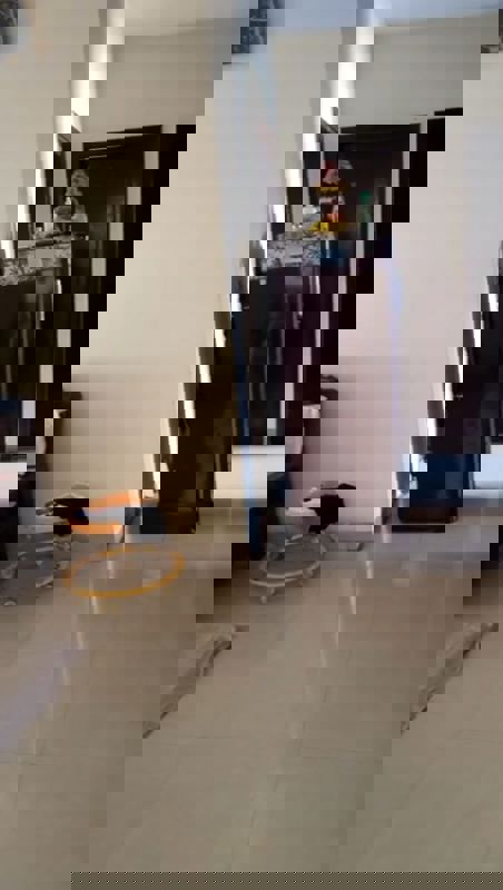 4 BHK +Builder Floor For Rent in BPTP Park Elite Floor II