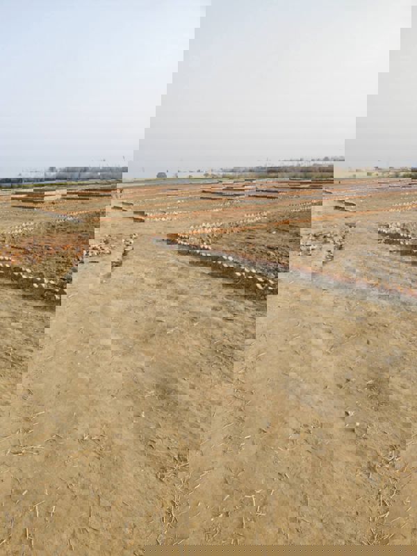 Plot For Sale in Jewar