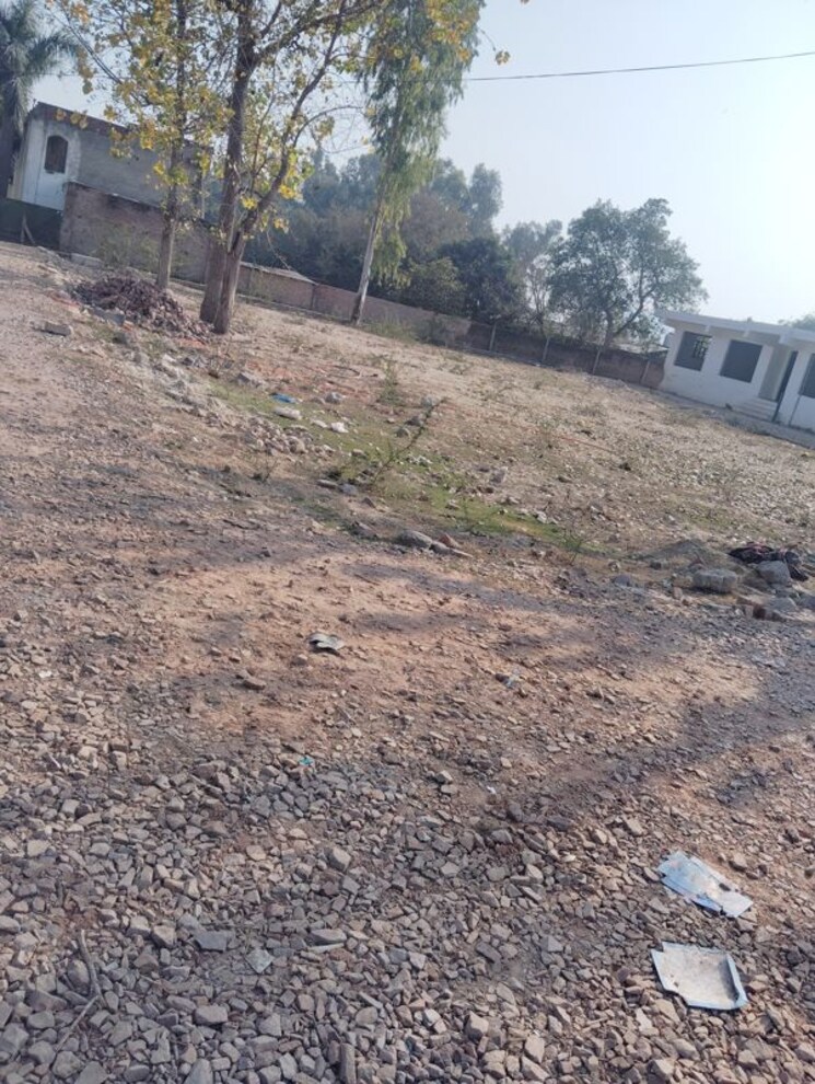 undefined, jeevan nagar  900 Sq.Ft. Plot In Jeevan Nagar Faridabad 9854768
