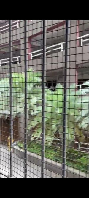 Living Room in 1 BHK Apartment at Redstone Saifee Park, Byculla – for Sale