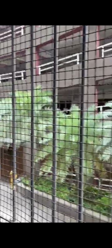 Living Room in 1 BHK Apartment at Redstone Saifee Park, Byculla – for Sale